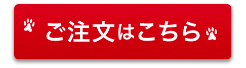 ご注文はこちら