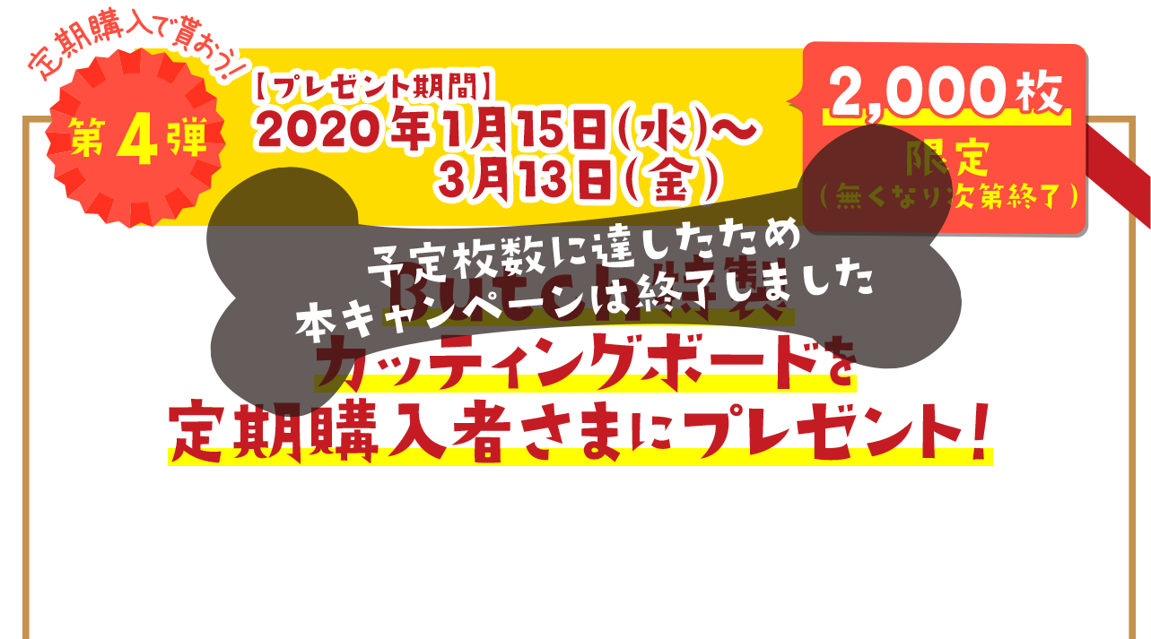 10周年記念 プレゼント キャンペーン開催 無添加ドッグフード キャットフード通販 ブッチ ジャパン