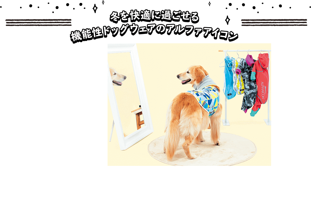 アルファアイコン ブッチコラボ企画 冬のエンジョイキャンペーン アルファアイコン ブッチコラボ企画 冬のエンジョイキャンペーン