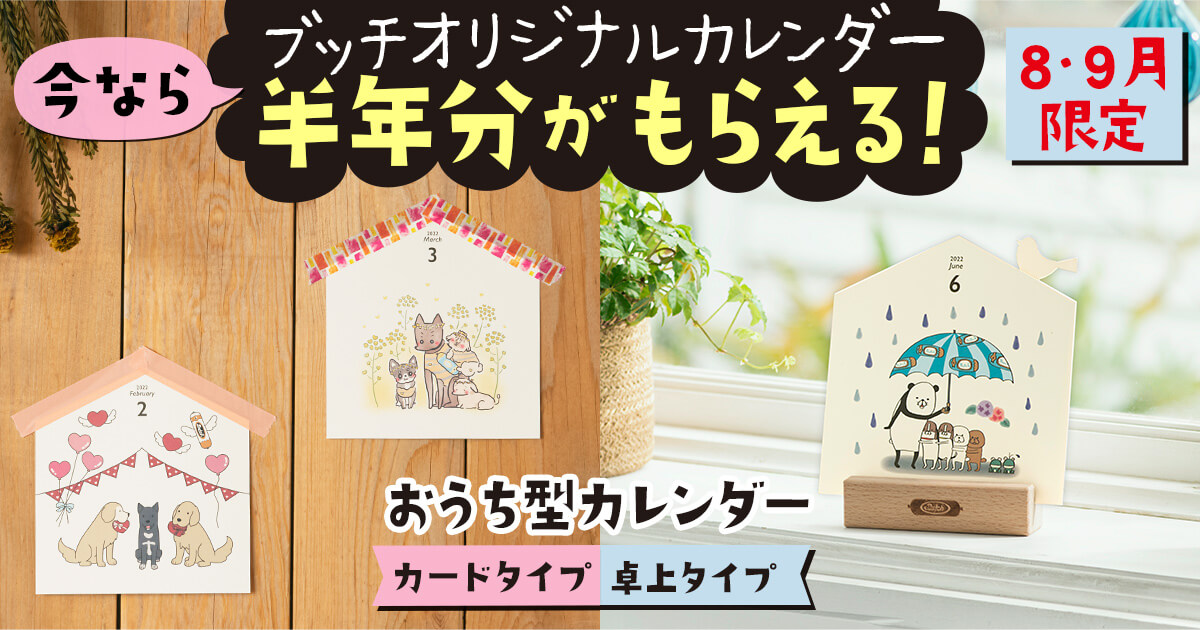 ブッチカレンダーキャンペーン