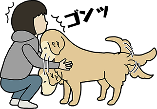イラストレーター紹介