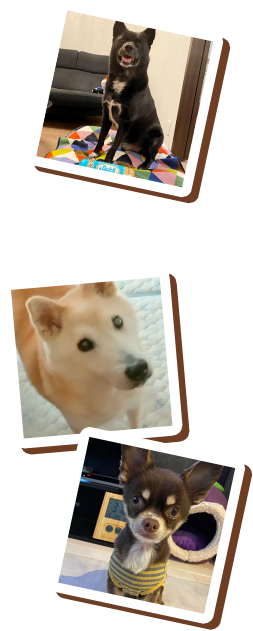 応募方法