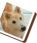 応募方法