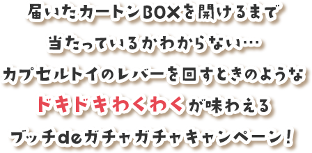 届いたカートンBOXを開けるまで当たっているかわからない…カプセルトイのレバーを回すときのようなドキドキわくわくが味わえるブッチdeガチャガチャキャンペーン！