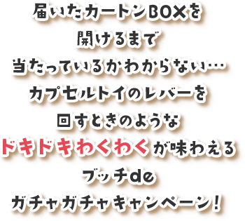 届いたカートンBOXを開けるまで当たっているかわからない…カプセルトイのレバーを回すときのようなドキドキわくわくが味わえるブッチdeガチャガチャキャンペーン！