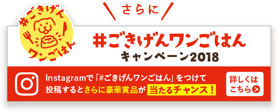 Instagramで「#ごきげんワンごはん」をつけて 投稿するとさらに豪華賞品が