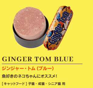 GINGER TOM BLUE