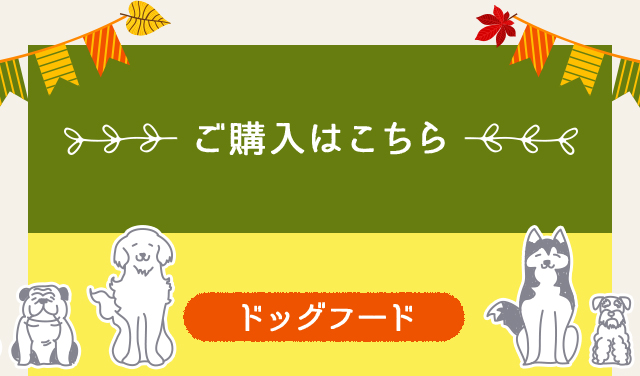 ご購入はこちら