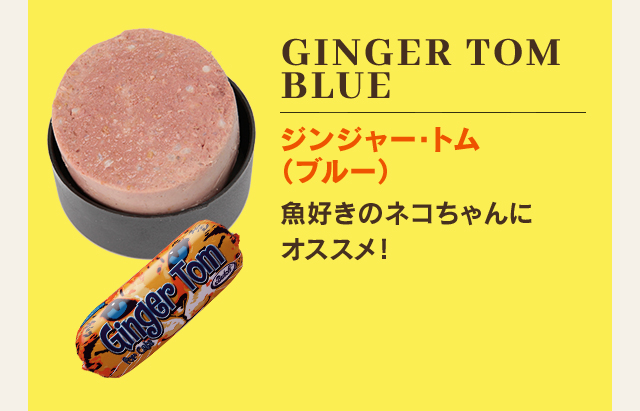 GINGER TOM BLUE