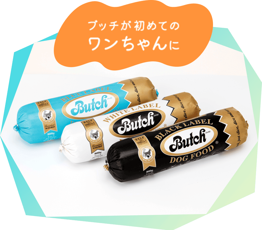 ブッチが初めてのワンちゃんに