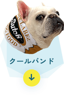 クールバンド