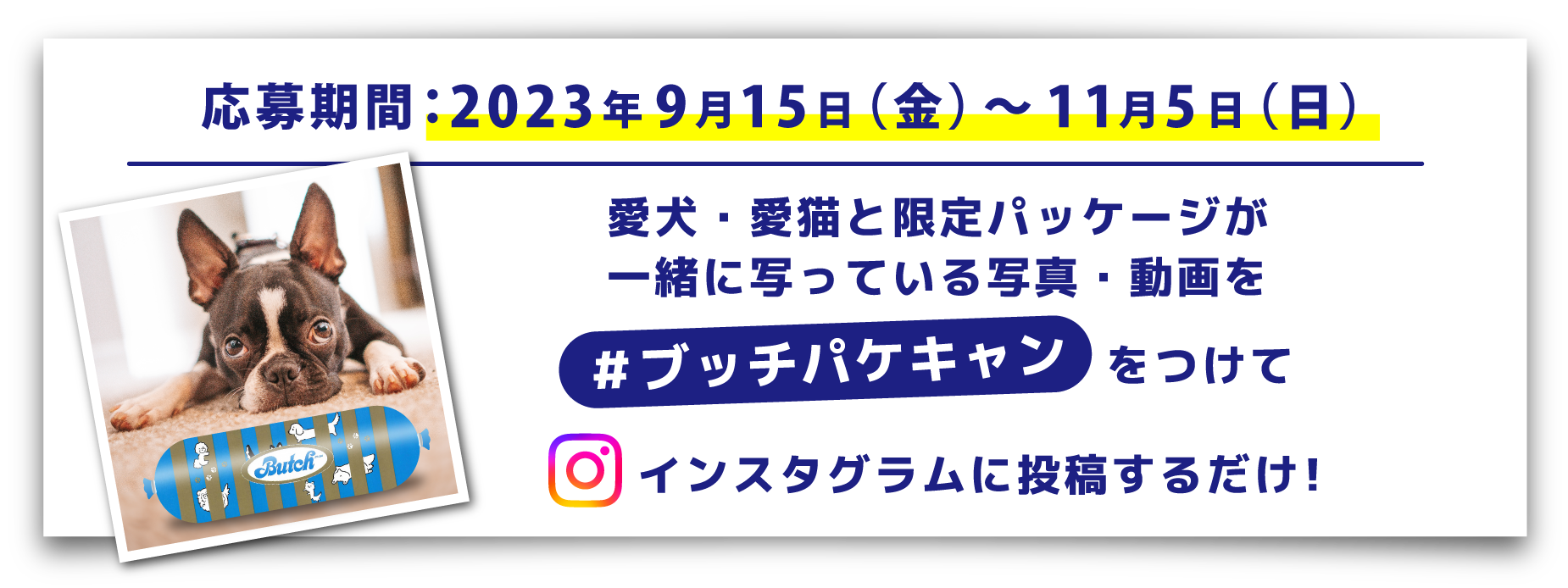 応募期間：2023年9月15日（金）～11月5日（日）限定パッケージと一緒に写っている姿を ＃ブッチパケキャン をつけてインスタグラムに投稿するだけ！