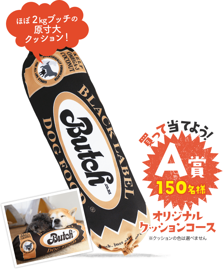 ほぼ2kgブッチの原寸大クッション!買って当てよう!A賞150名様オリジナルクッションコース※クッションの色は選べません