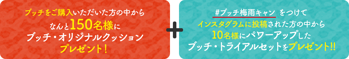 ブッチをご購入いただいた方の中からなんと150名様にブッチ・オリジナルクッションプレゼント！＋#ブッチ梅雨キャンをつけてインスタグラムに投稿された方の中から10名様にパワーアップしたブッチ・トライアルセットをプレゼント!!