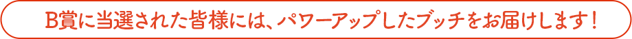 B賞に当選された皆様には、パワーアップしたブッチをお届けします！