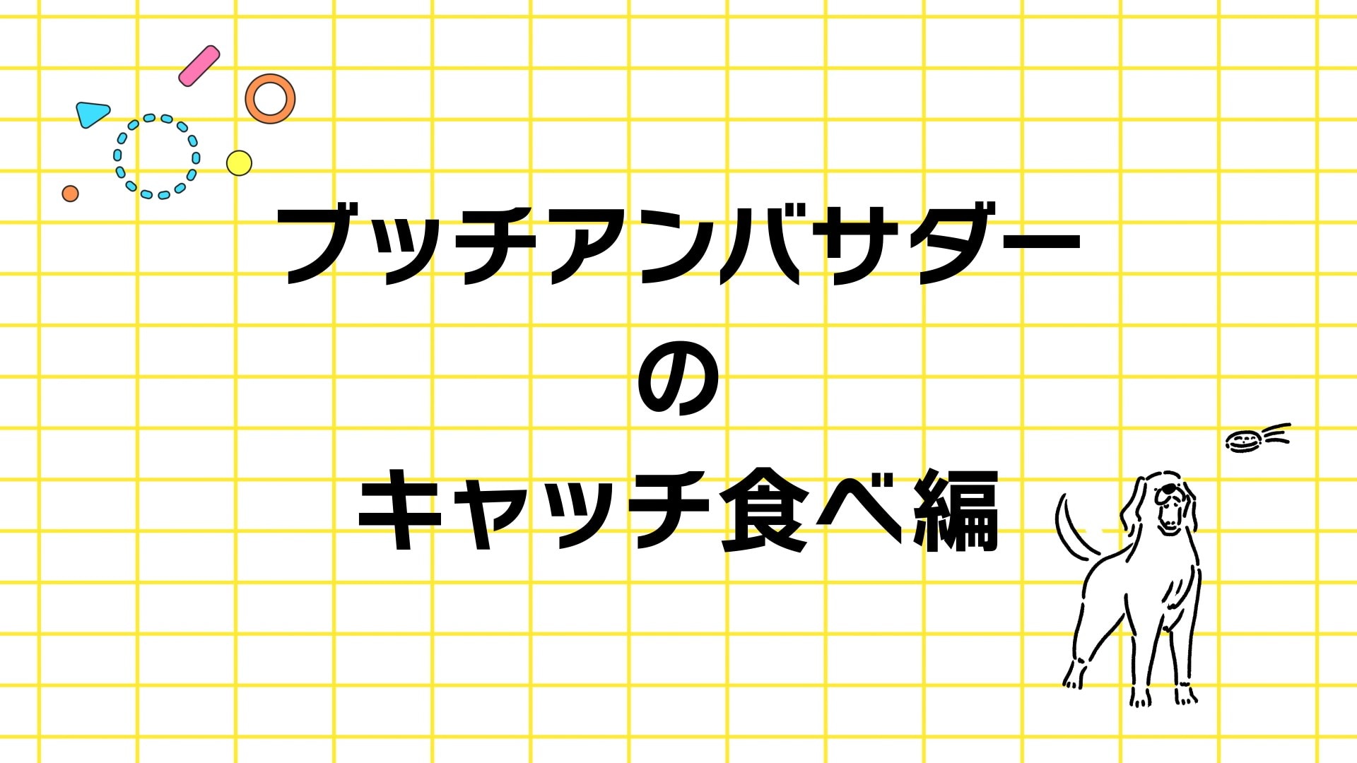 参考動画 ブッチキャッチ編