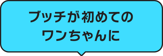 ブッチが初めてのワンちゃんに