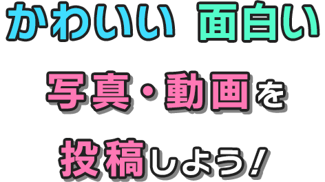 ブッチオリジナルソングに合わせてかわいい面白い動画を投稿しよう！