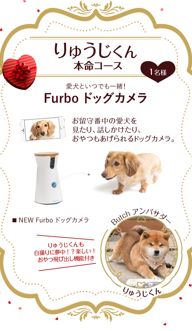 りゅうじくん  本命コース 1名様 愛犬といつでも一緒！ Furbo ドッグカメラ お留守番中の愛犬を 見たり、話しかけたり、 おやつもあげられるドッグカメラ。■ NEW Furbo ドッグカメラ りゅうじくんも 自撮りに夢中！？楽しい！  おやつ飛び出し機能付き Butch アンバサダー りゅうじくん