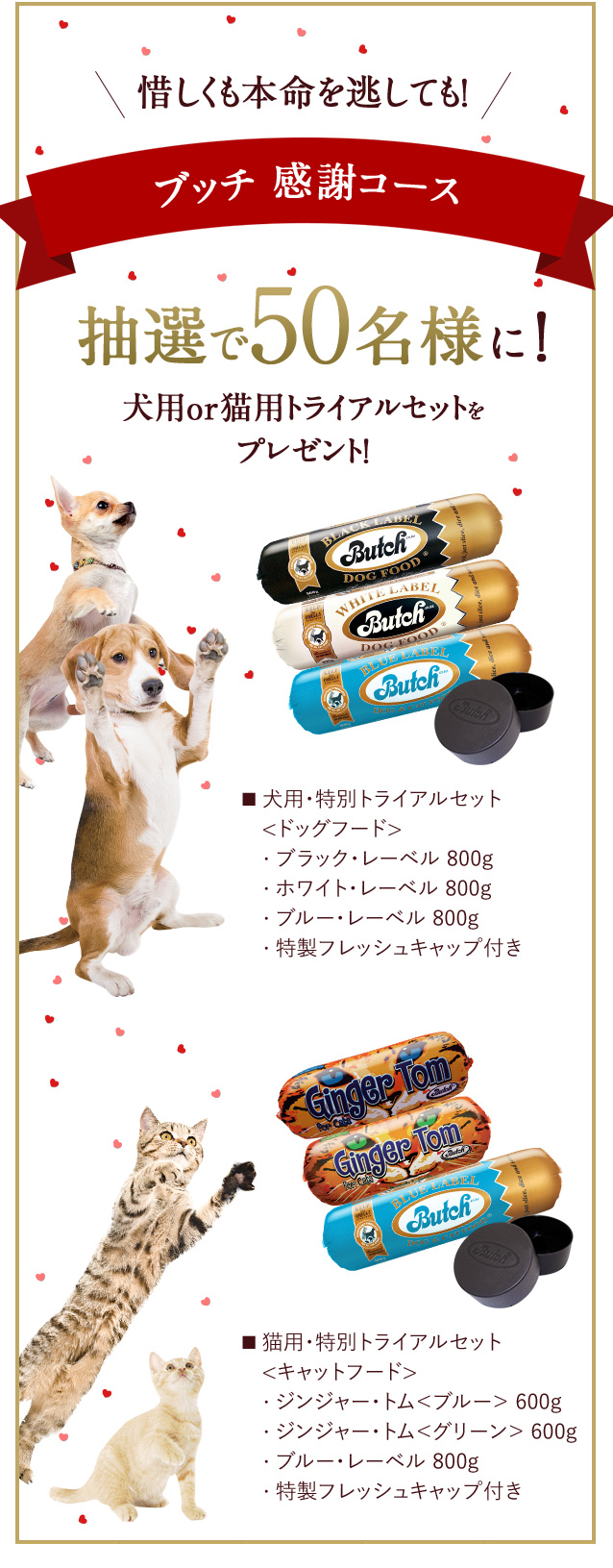 ブッチ 感謝コース 犬用or猫用トライアルセットを プレゼント！ ■ 犬用・特別トライアルセット 　<ドッグフード> 　 ・ ブラック・レーベル 800g 　 ・ ホワイト・レーベル 800g ■ 猫用・特別トライアルセット 　<キャットフード> 　 ・ ジンジャー・トム＜ブルー＞ 600g 　 ・ ジンジャー・トム＜