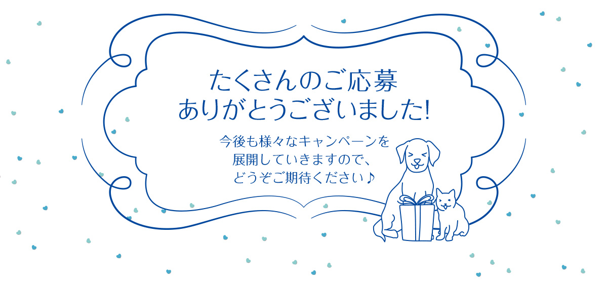 たくさんのご応募 ありがとうございました！ 今後も様々なキャンペーンを 展開していきますので、 どうぞご期待ください♪