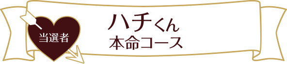 ハチくん  本命コース