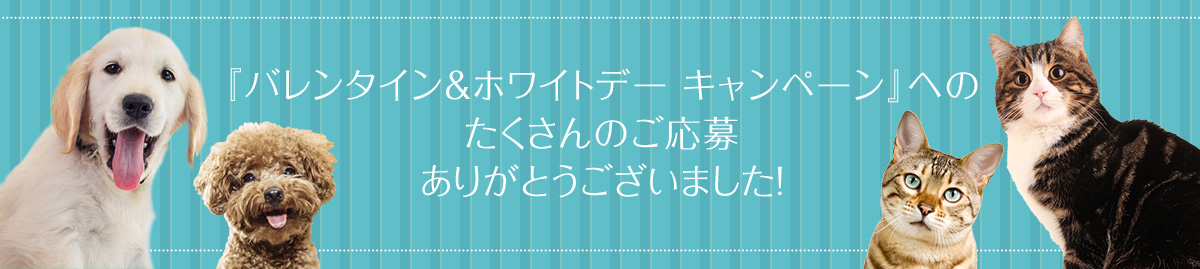 『バレンタイン&ホワイトデー キャンペーン』への たくさんのご応募 ありがとうございました！