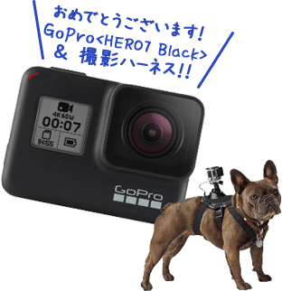 GoPro＆撮影ハーネス