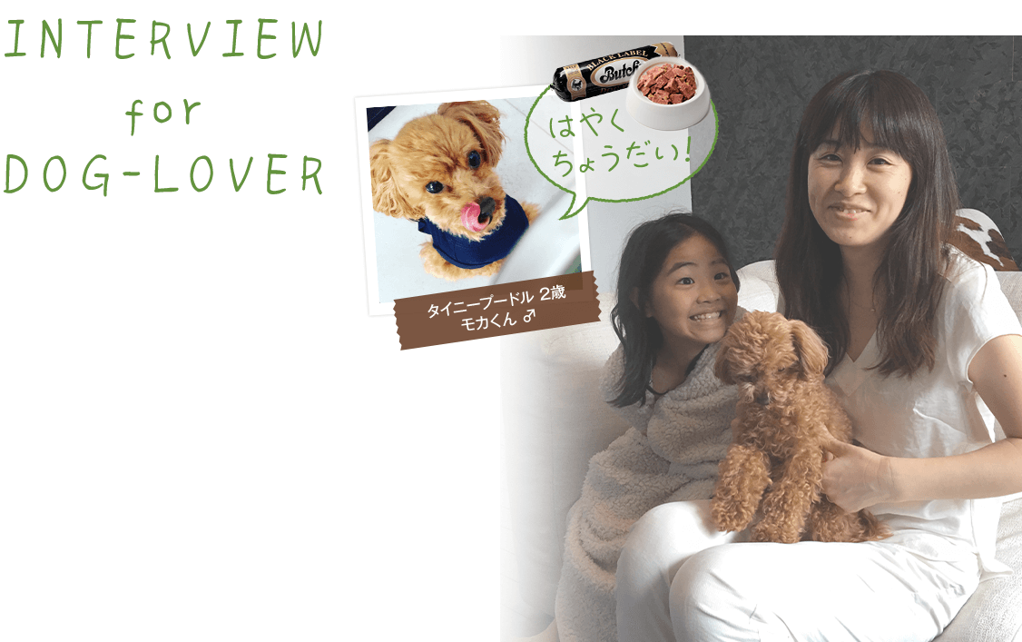 interview for dog-lover