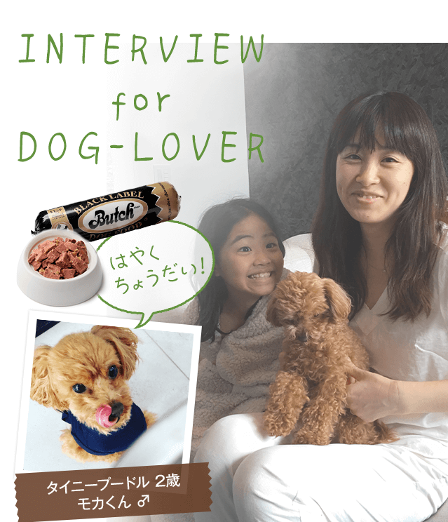 interview for dog-lover