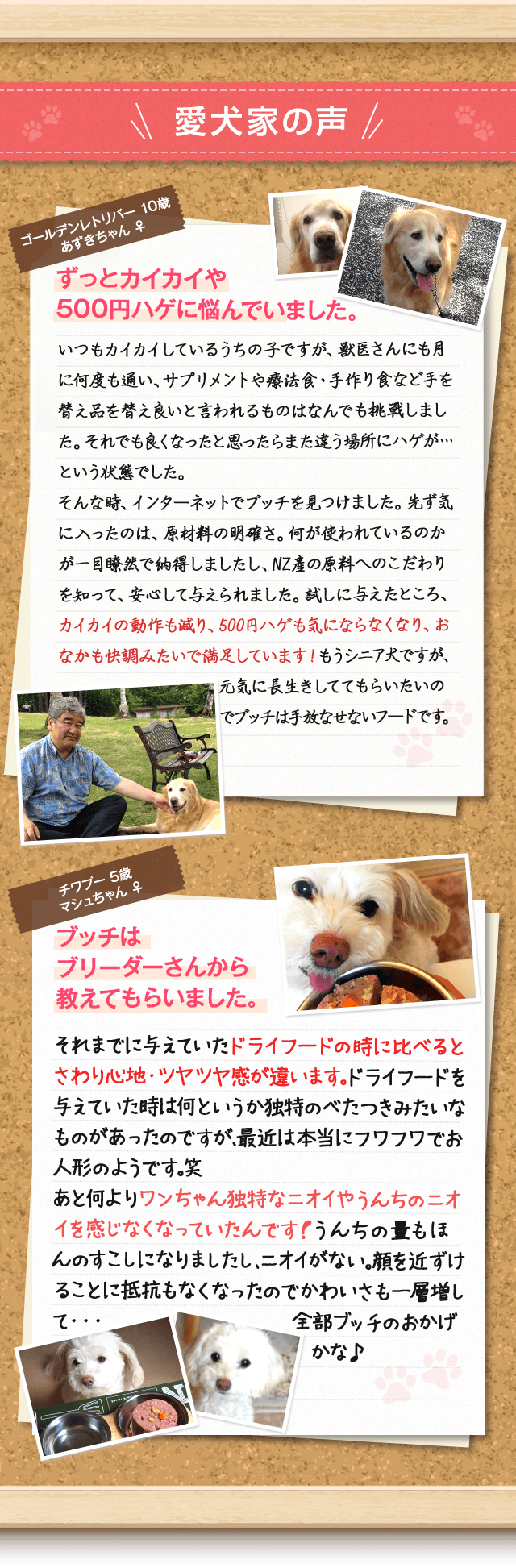 愛犬家の声