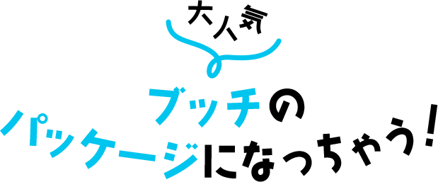 数量限定パッケージの