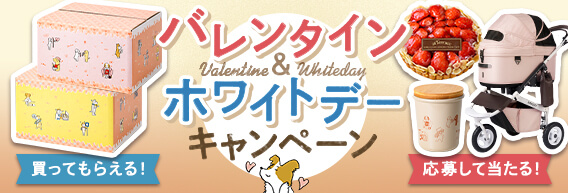 愛犬と楽しむ♪「バレンタイン＆ホワイトデー」キャンペーン｜ブッチ・ジャパン
