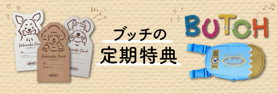 うちの子そっくり？可愛いカードが必ずもらえる！ドキドキわくわくのブッチ定期特典スタート！