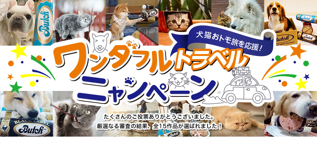 ワンダフル トラベル ニャンペーン 投票ページ 公式通販 無添加ドッグフード キャットフード ブッチ ジャパン ワンダフル トラベル ニャンペーン 投票ページ 公式通販 無添加ドッグフード キャットフード ブッチ ジャパン