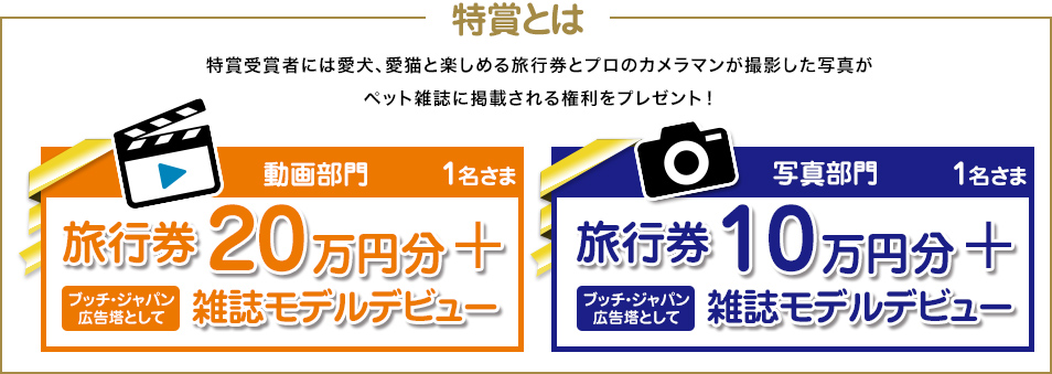 特賞とは特賞受賞者には愛犬、愛猫と楽しめる旅行券とプロのカメラマンが撮影した写真がペット雑誌に掲載される権利をプレゼント！