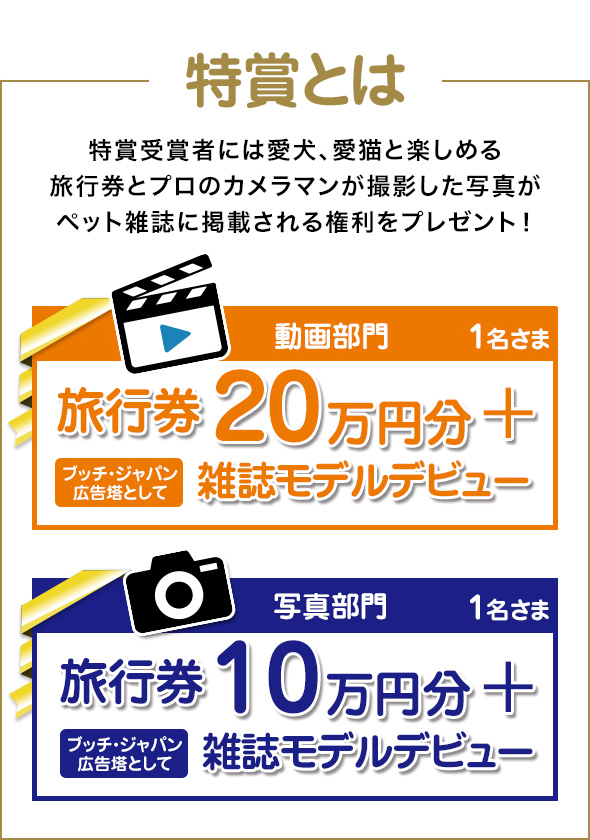 特賞とは特賞受賞者には愛犬、愛猫と楽しめる旅行券とプロのカメラマンが撮影した写真がペット雑誌に掲載される権利をプレゼント！