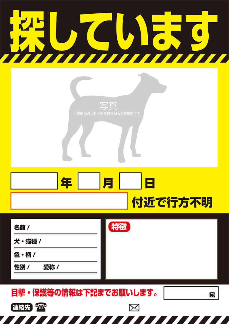 迷い犬A4ポスター4cAa