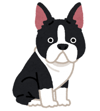 dog_boston_terrier