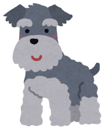 dog_miniature_schnauzer