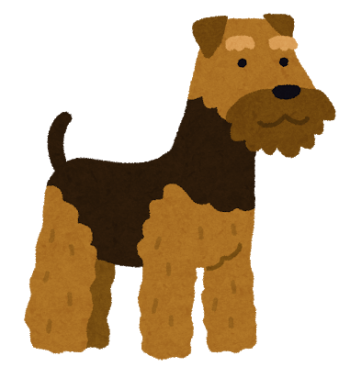 Terrier