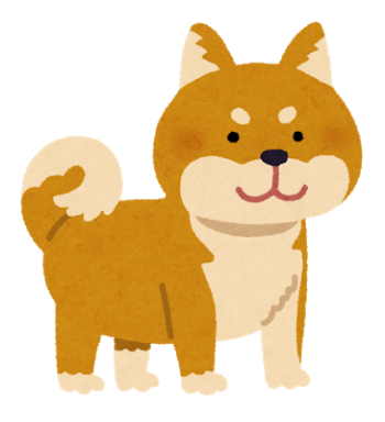 dog_shibainu_brown