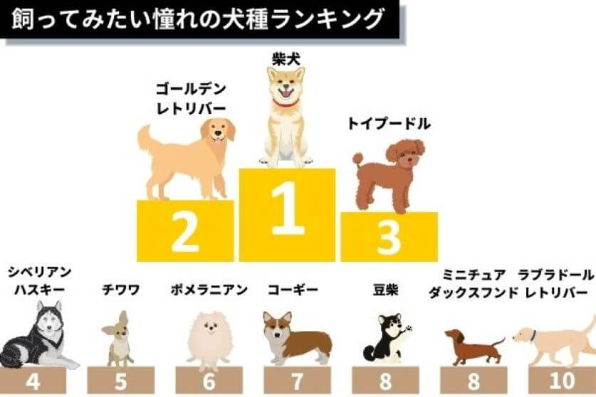 sub1
