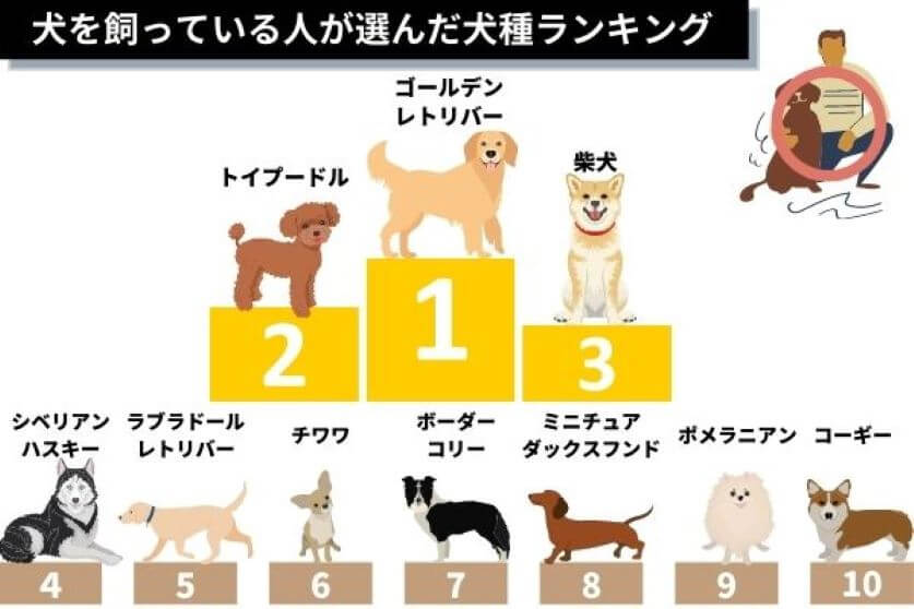sub7