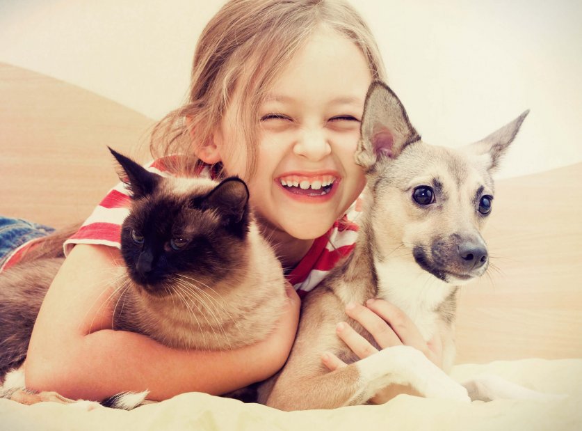 child hugging a cat and dog