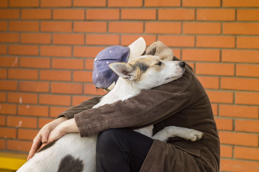 Cross-breed of hunting and northern dog hugs master showing how it loves her