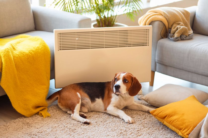 Cute Beagle dog near convector heater at home
