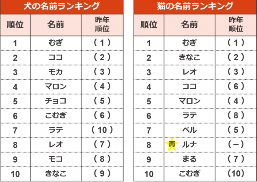 スクリーンショット 2022-05-31 153744