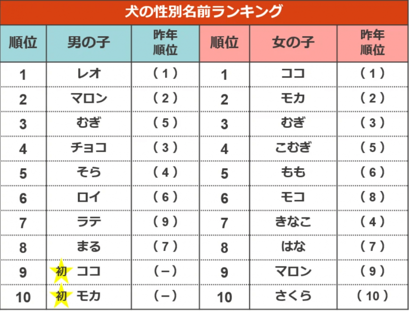 スクリーンショット 2022-05-31 154510