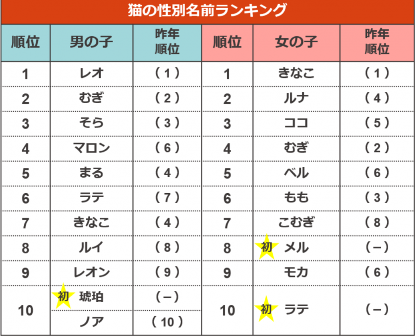 スクリーンショット 2022-05-31 154753